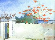 Winslow Homer A Wall, Nassau oil painting picture wholesale